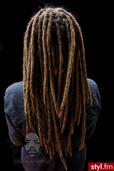 Dredy http://www.dread-zone.pl - Dredy Alternatywne Średnie Fryzury