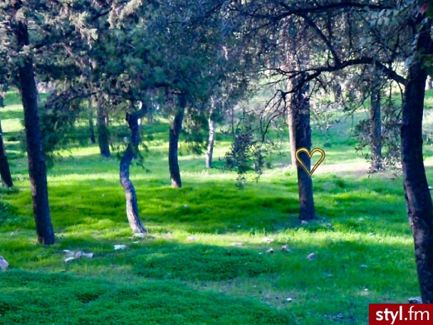 
www.athenshearts.com
Instagram: @athenshearts
Facebook: Athens hearts - Podróże i miejsca