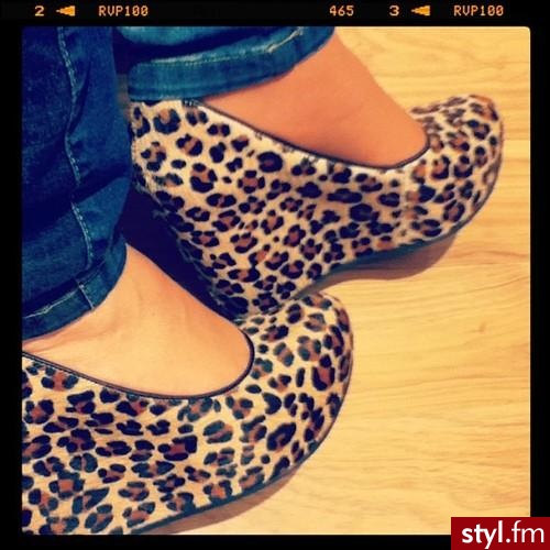 Koturny Buty Moda