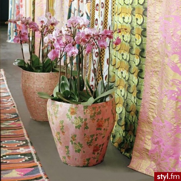 Ogród