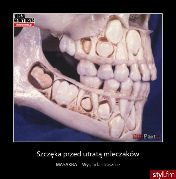Humor