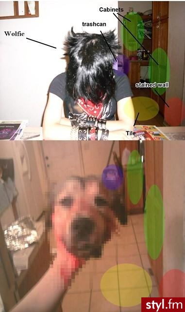 wiem, ze to nie miejsce na takie zdjecia. ale mam pytanie; CZY KTOS Z WAS WIE COS WIECEJ W SPRAWIE OWEJ WOLFIE BLACKHEART? - Misz-masz
