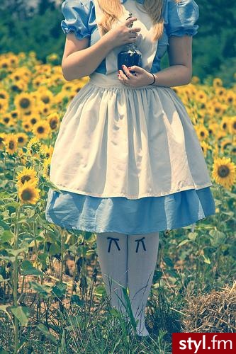 alice. hyhy - Pozostałe Ciuchy Moda