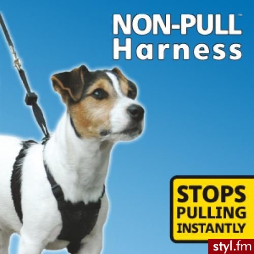HALTI NON-PULL HARNESS SMALL (LS01) - Psy Zwierzaki
