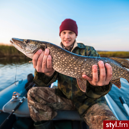 Plecionka na szczupaka

https://wielkaryba.pl/blog/porady-wedkarskie/jaka-plecionka-na-szczupaka - Hobby