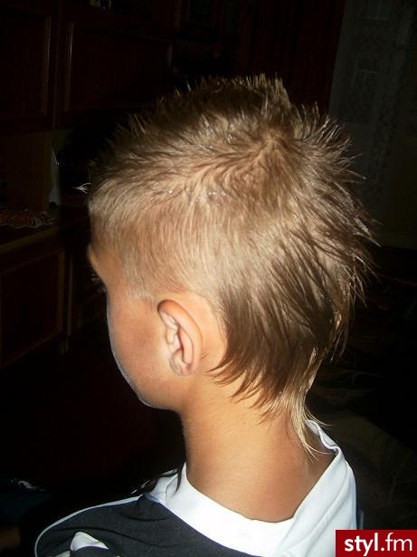 Punk Rock Alternatywne Średnie Fryzury