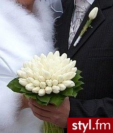 Śnieżno biale tulipany - Bukiety ślubne Ślub Moda