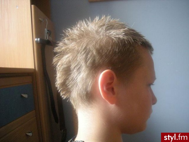 Punk Rock Alternatywne Średnie Fryzury