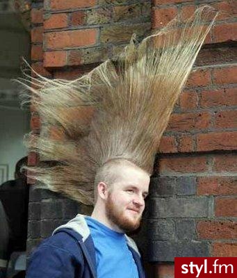 Punk Rock Alternatywne Średnie Fryzury