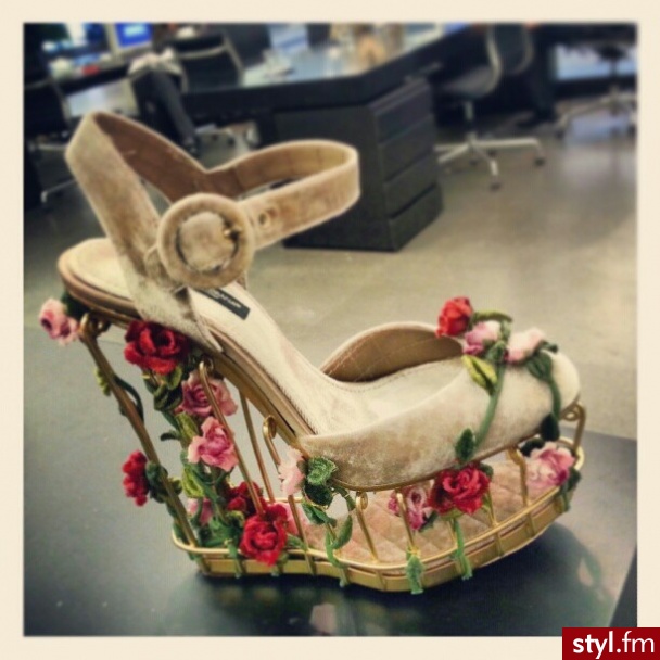 Koturny Buty Moda