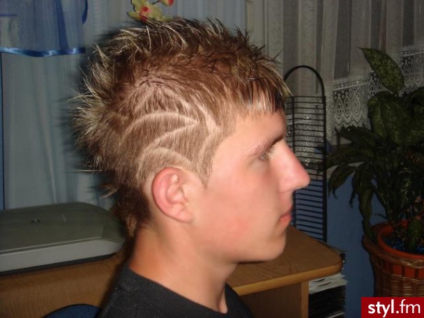 Punk Rock Alternatywne Średnie Fryzury