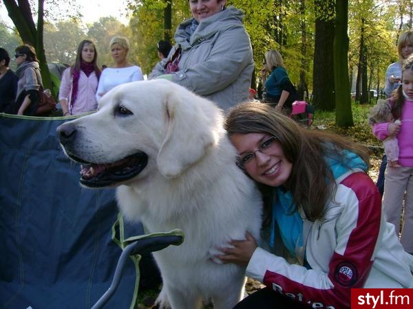 Moje marzenie :( :* - Misz-masz