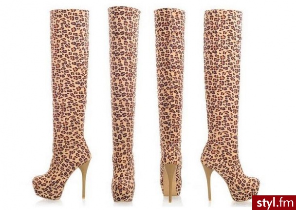 Kozaki Buty Moda