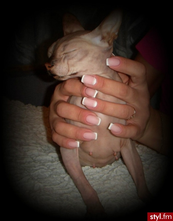 Kwadratowe French Paznokcie