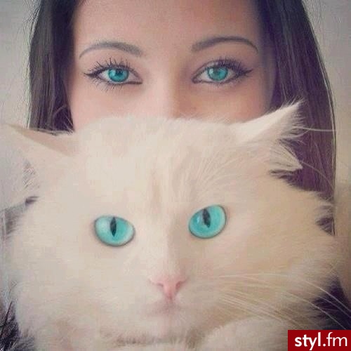 Misz-masz