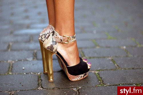 Koturny Buty Moda