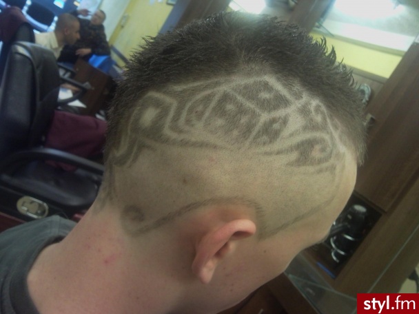 Punk Rock Alternatywne Średnie Fryzury