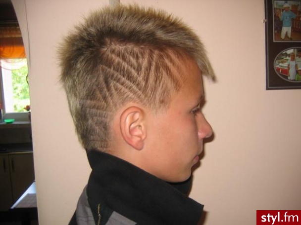 Punk Rock Alternatywne Średnie Fryzury