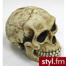 Czaszka skarbonka !
Wyglądająca jak prawdziwa, skurczona przez amazońskich szamanów czaszka, skarbonka ta będzie skutecznie chronić Twoje skarbów przed młodsza siostrą lub wścibską babcią.
Jeśli jednak cierpisz na nocne koszmary i do dzisiaj nie możesz - Misz-masz