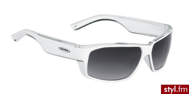 Alpina Okulary rowerowe A 61 - Okulary Dodatki Moda