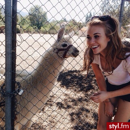Zwierzaki