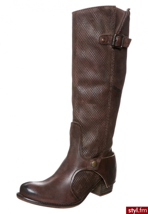 IKKS POLO Kowbojki i Buty motocyklowe brązowy I01096 - Pozostałe Buty Moda
