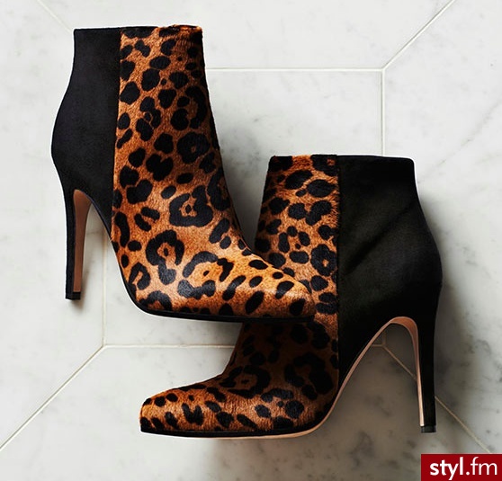 Botki Buty Moda