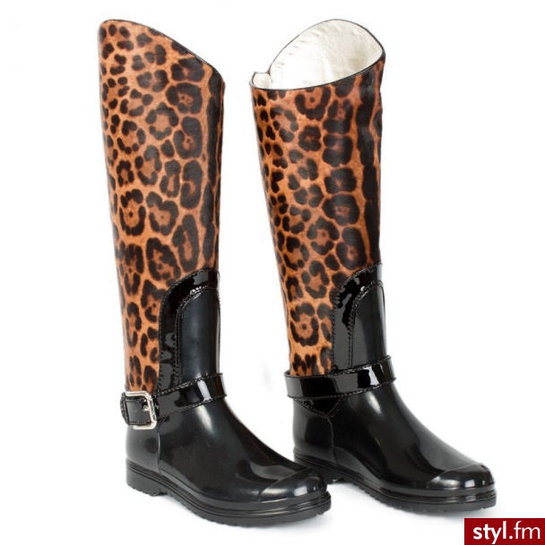 Kalosze Buty Moda
