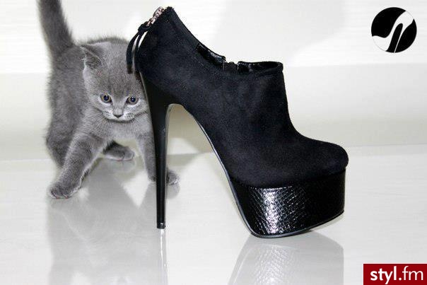 Botki Buty Moda