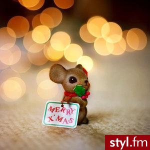 Pozostałe Dodatki Moda