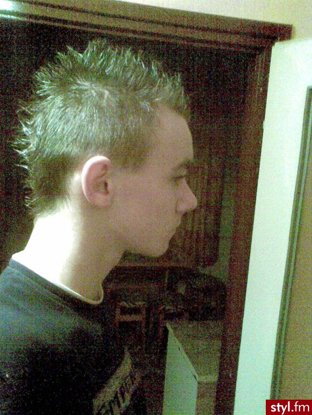 irooo - Punk Rock Alternatywne Średnie Fryzury