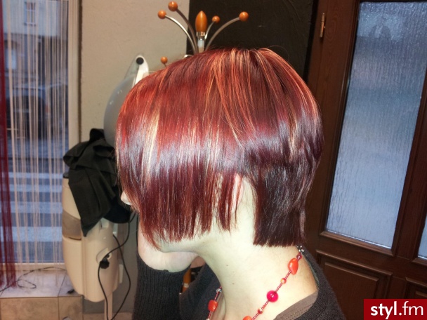 Zapraszam na www.facebook.com/HairByStaszewski - Kolorowe Rozpuszczone Proste Na co dzień Średnie Fryzury