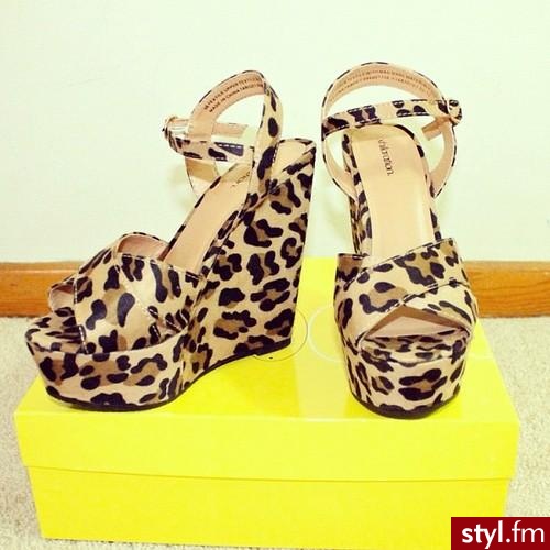 Koturny Buty Moda