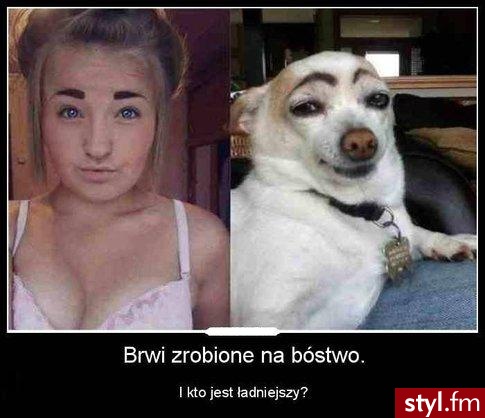 Humor