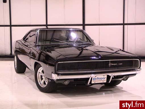 dodge - Misz-masz