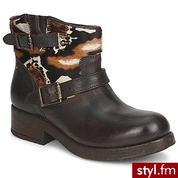Koah Buty NOLA LEATHER DK/BRWN DK / Brązowy - Pozostałe Buty Moda