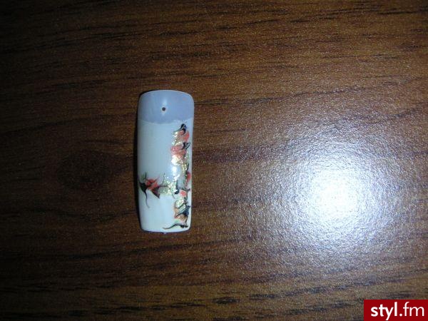 Autor: Angela kolorki troche jesienne;). Autor: <b>Angela</b><br /> - Paznokcie