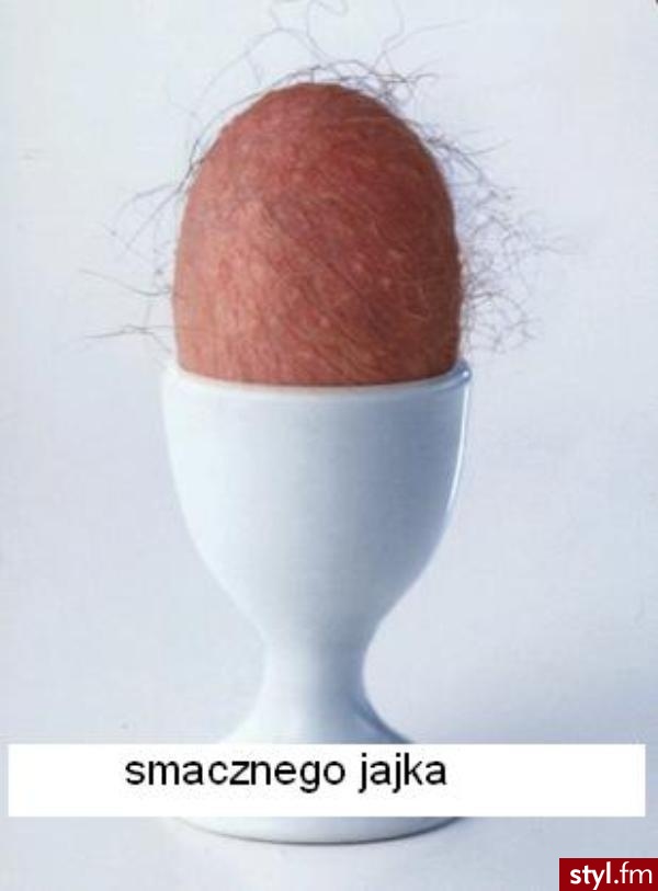 oblecha - Misz-masz