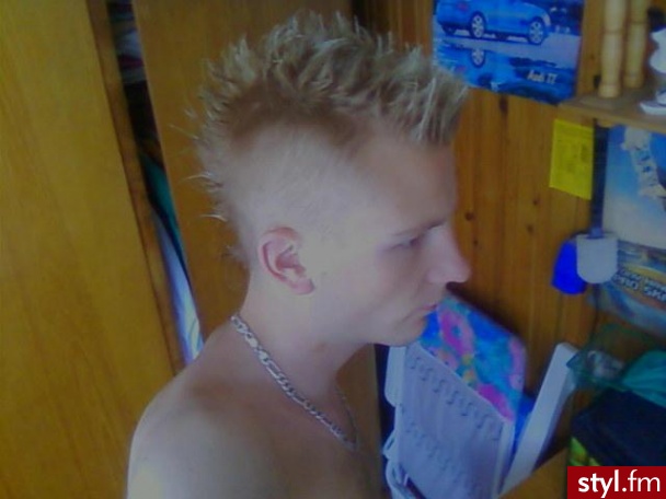 Punk Rock Alternatywne Średnie Fryzury