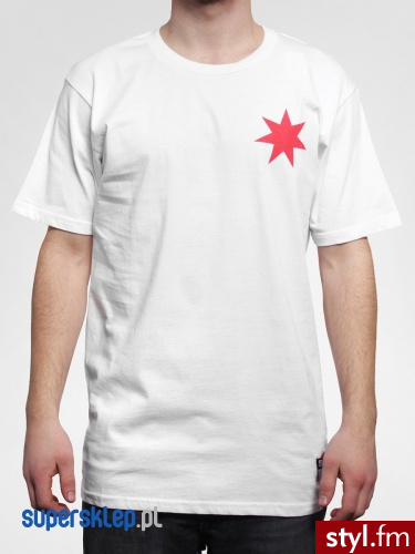 DC T-Shirt Skate Star (white) S - Pozostałe Buty Moda