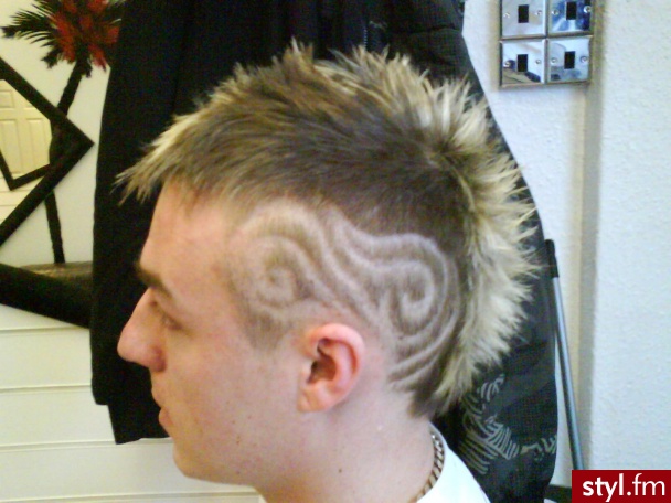 Punk Rock Alternatywne Średnie Fryzury