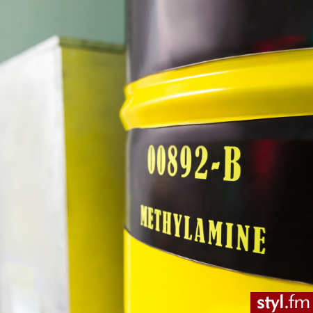Zastosowania metyloaminy w przemyśle i medycynie: Przegląd.
https://klenar.pl/produkt/metyloamina-40-w-wodzie/ - Porady - zrób to sam