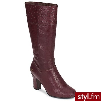 Neosens Buty SEMILLON Serpiente / MORA - Kozaki Buty Moda
