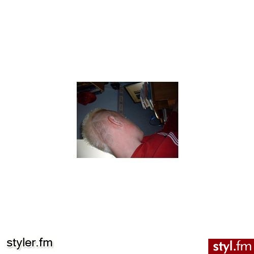 Irokez. Malowany - Styler