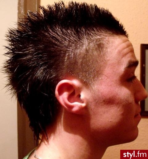 Punk Rock Alternatywne Średnie Fryzury