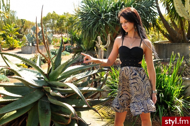 Dzienne Sukienki Moda
