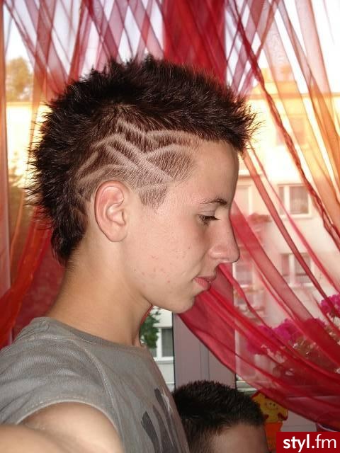 Punk Rock Alternatywne Średnie Fryzury