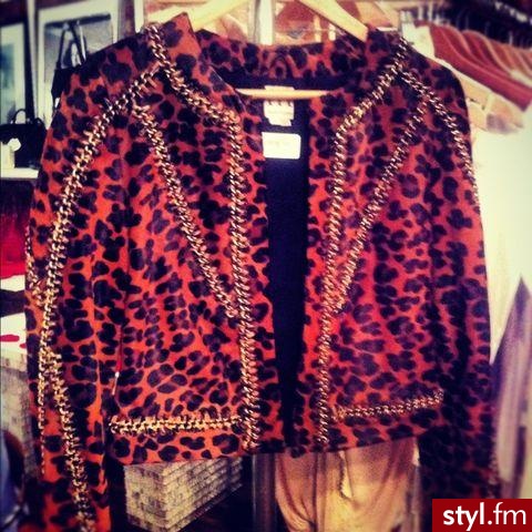 Kurtki Okrycia Moda