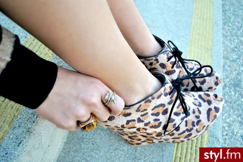 Koturny Buty Moda