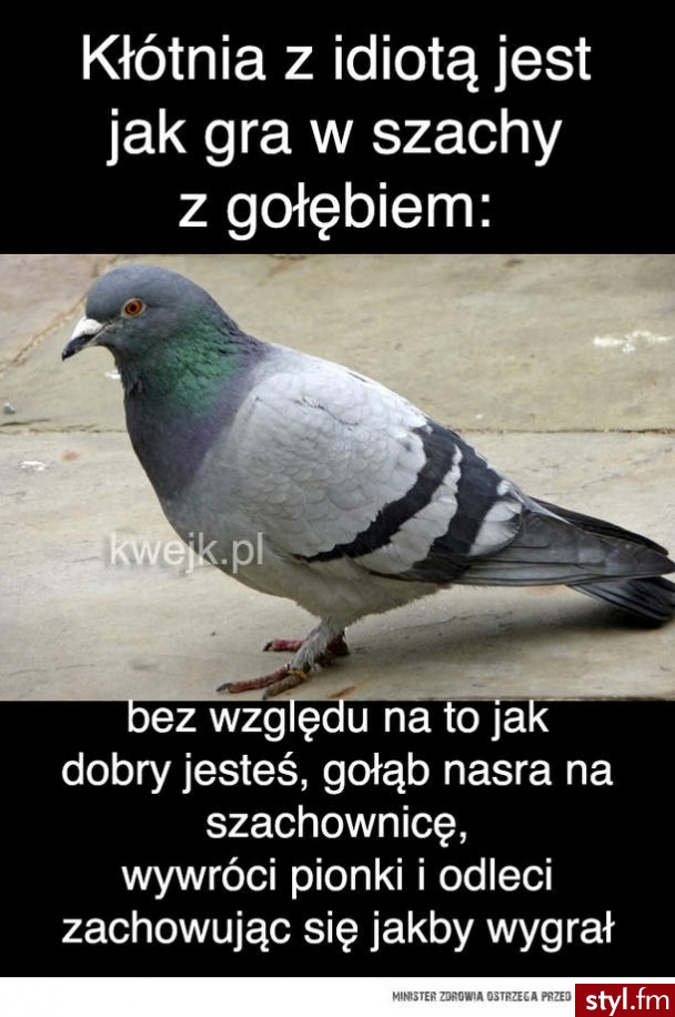 Humor